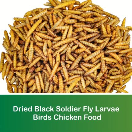 10LBS Dried Black Flyer Larvae - High Calcium And High Protein Feed - Calcium Content Is 85X Higher Than Mealworms - Suitable for Chickens, Ducks, Pigeons, Turtles And Wildbirds
